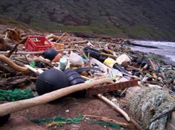 trash in beach